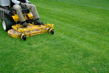 Spring Lawn Care, Mowing Grass