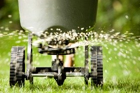Spreading Lawn Fertilizer