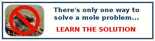 Ultimate Mole Control - End Ground Mole Problems
