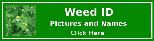 Weed-ID