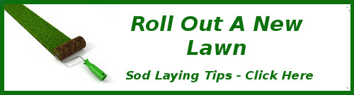 Ad sod laying tips