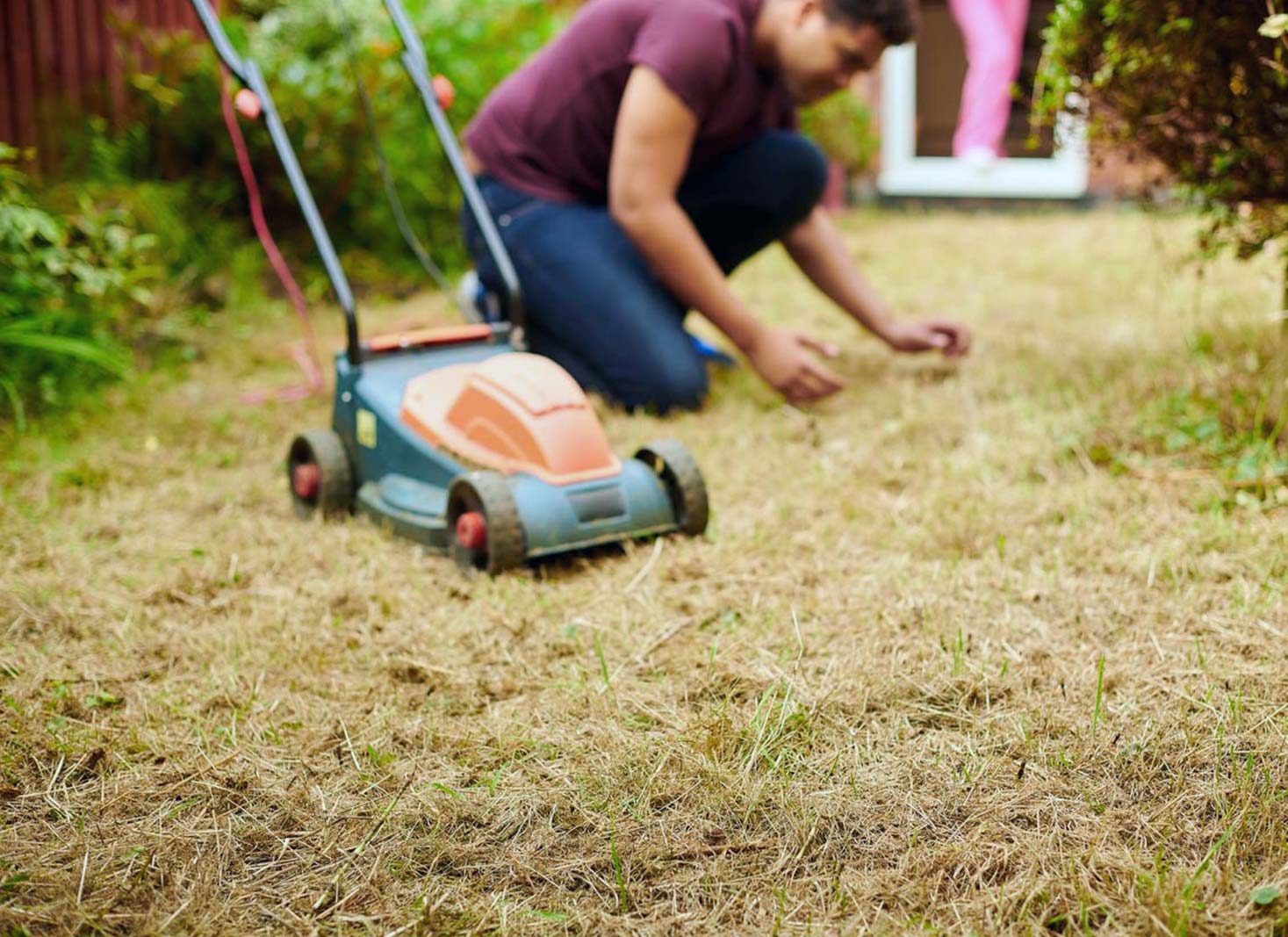 Caring for your lawn during extreme temperatures