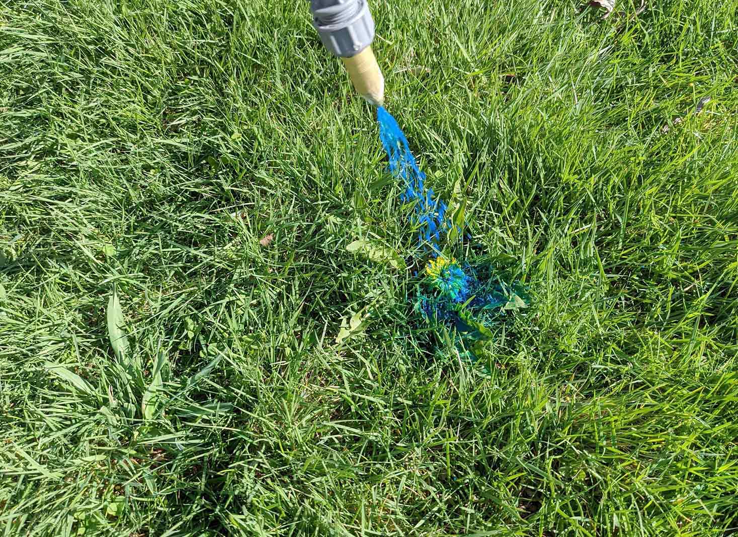 Eliminating Bermuda Grass from Fescue Lawns