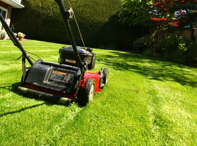 Grasscycling - Mowing with a Mulching Lawnmower