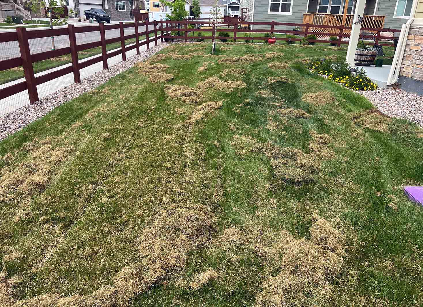 Potential drawbacks of using grass clippings