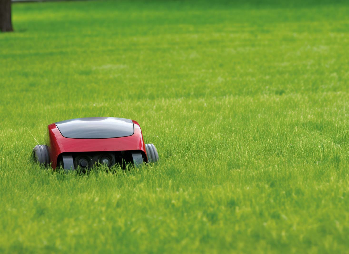 Role of Robotic Lawn Mowers in Weed Control