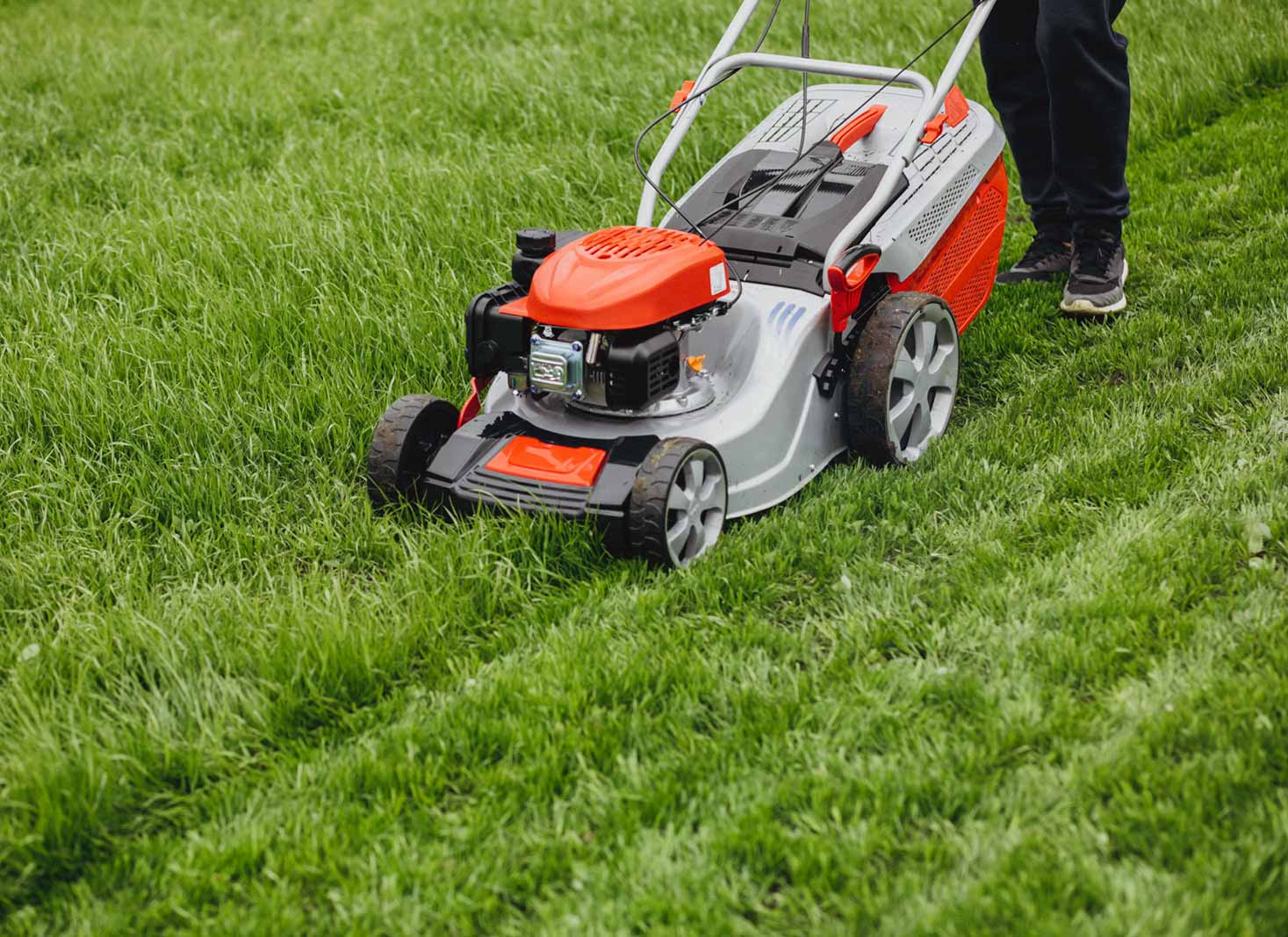 Tips for Successful Lawn Aeration