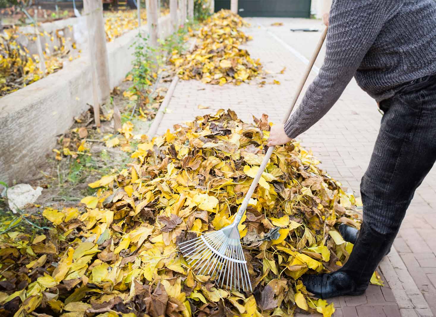 Types-of-Leaf-Removal-Services