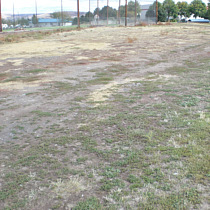 benefits of healthy lawns. This dusty field is a noxious weed breeding ground.