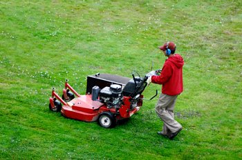 Commercial Lawn Mowers - Wide Area Cutter, Walk Behind