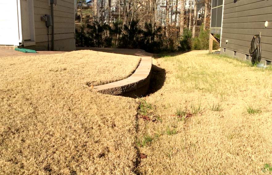 dormant zoysia grass turning yellow at side of house