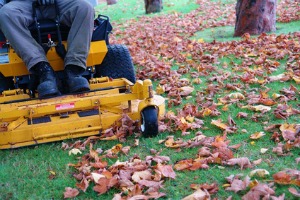Fall Lawn Care - Mowing Leave