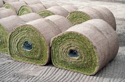 Sod Prices - Large rolls