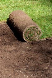 Sod Cost - Laying Sod