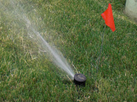 lawn aeration marking sprinkler head