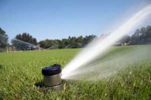 Automatic Sprinkler Watering a Lawn