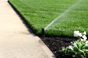 Lawn Watering Tips