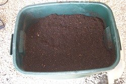 Finished garden compost ready to use.