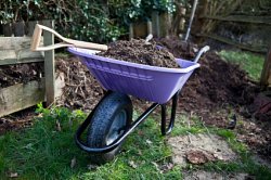 Composting grass clippings in wheel borrow