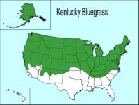Kentucky bluegrass growing range in the United States