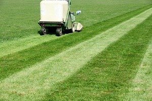How to Mow Stripes and Lawn Patterns