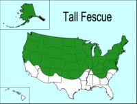 Tall fescue growing zone USA map