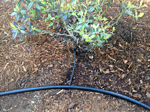 drip irrigation emitter attachment