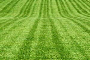 Grass Cutting Tips
