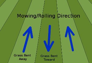 Lawn striping - direction the mower is traveling