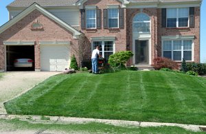 organic lawncare tips grass clippings