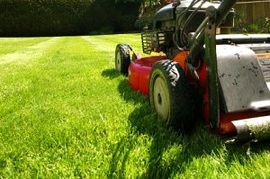 Mowing lawn with red mower perspective shot