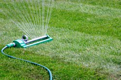 how to water new sod