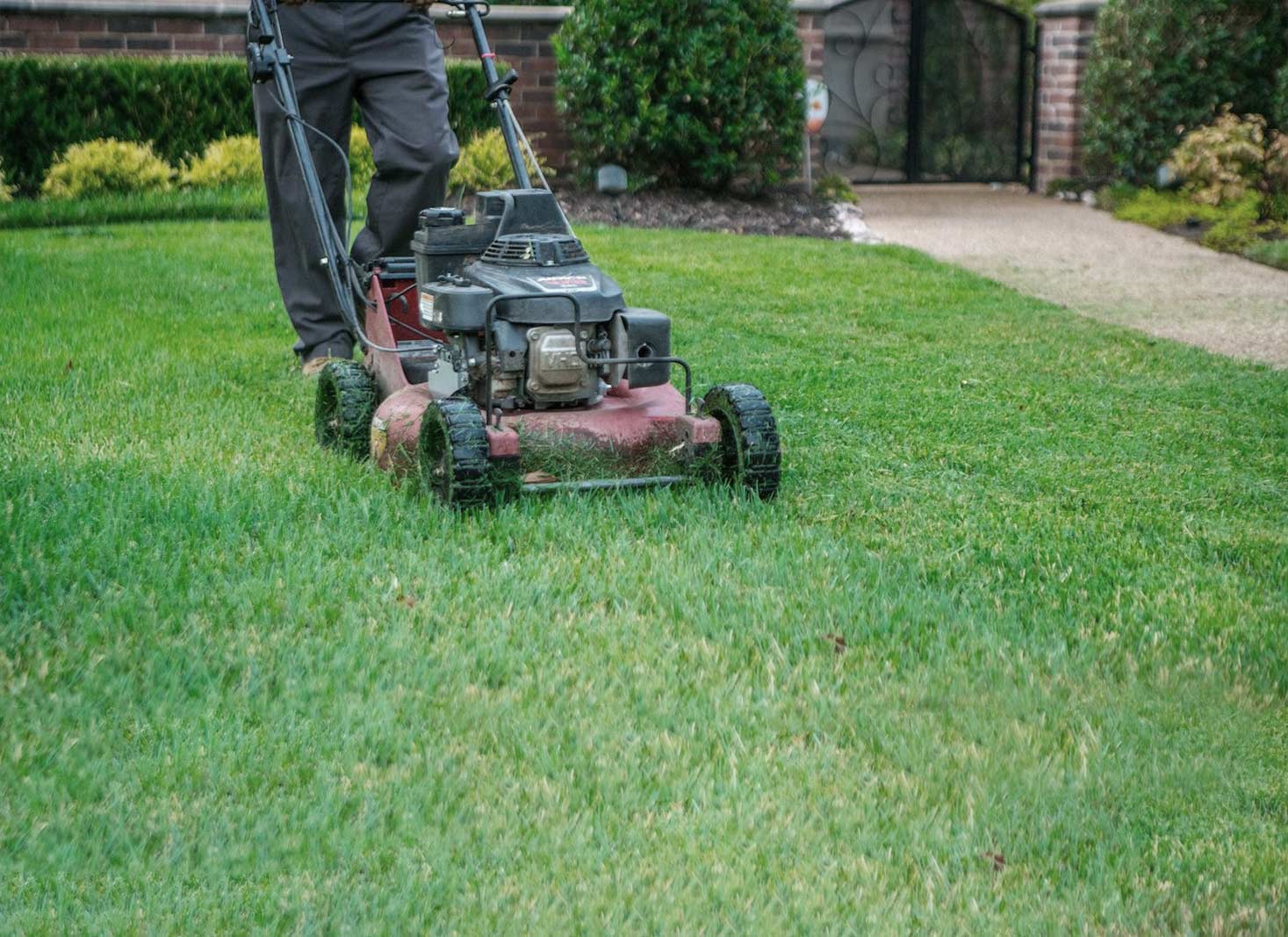 Proper lawn care practices