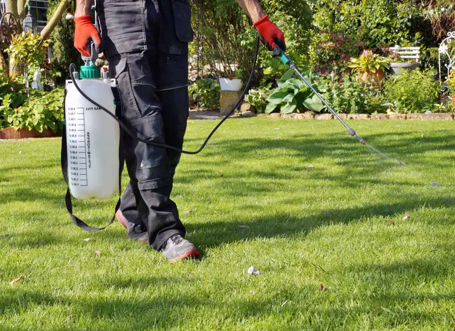 Selective herbicide for Bermuda grass