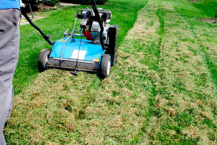 Should I Dethatch before overseed