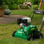professional dethatching service cost