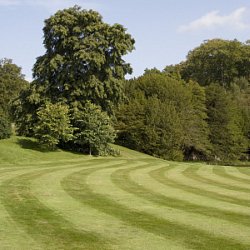 Lawn Striping, Mowing Patterns