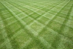 Lawn striping without striping kit